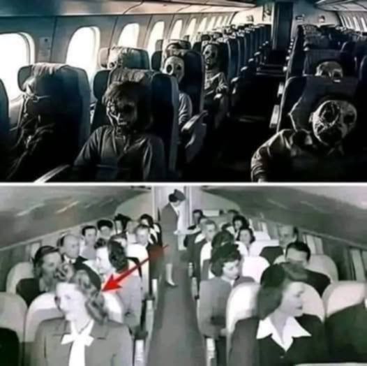 Mystery in the Skies: The Plane Lost in 1984 Reappears in 2019 with 92 Skeletons Onboard