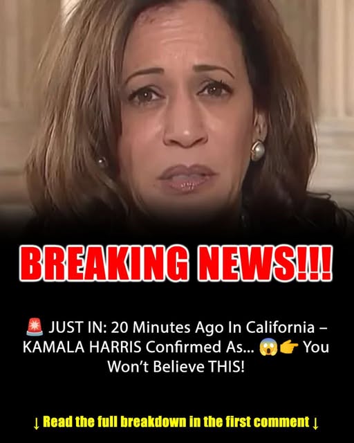 20 Minutes ago in California, Kamala Harris was confirmed as…See more