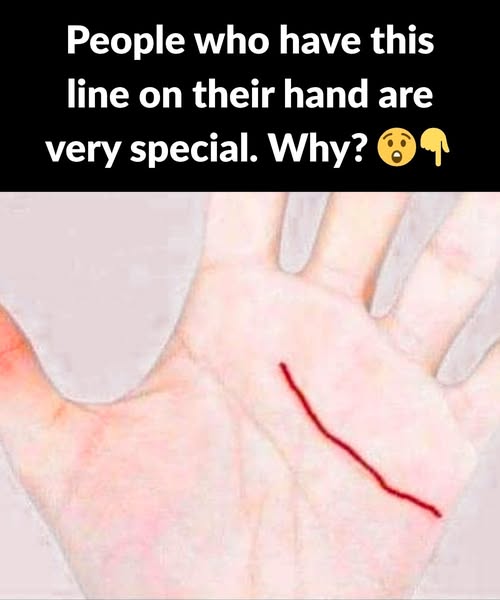 The meaning of the main lines of the hand!