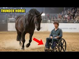 Unbridled Compassion: The Unlikely Friendship That Tamed a Wild Stallion