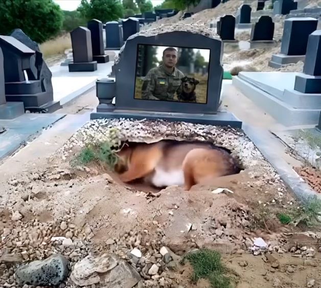 The Unyielding Bond: A Dog’s Devotion to His Master Beyond Death