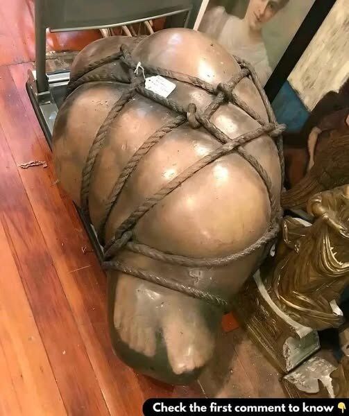 Found this thing! What is it? Find Out