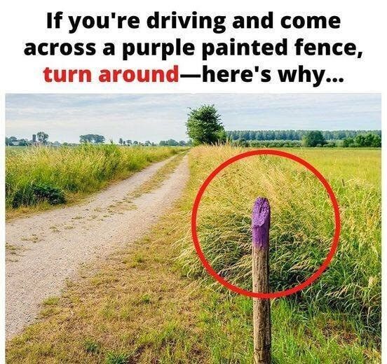 If You See a Painted Purple Fence, This Is What It Means!