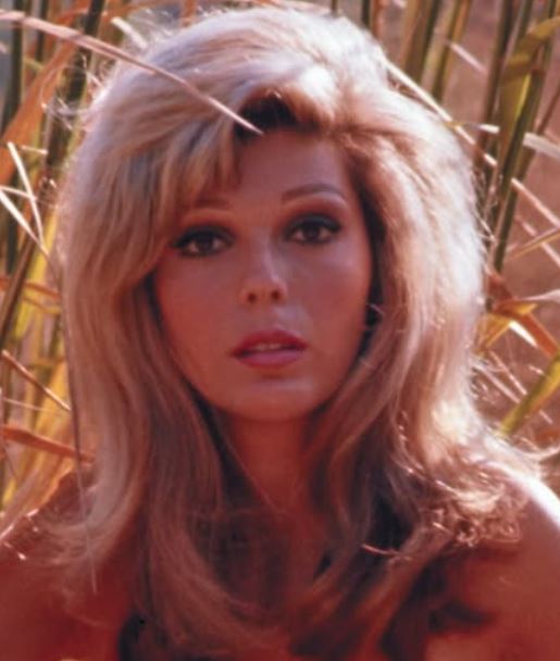 At 85, Nancy Sinatra Still Shines — Here’s How She’s Doing Today